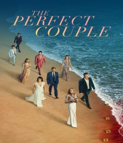 The Perfect Couple (2024) Season 1 Hindi Dubbed Web Series