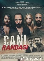 Cani randagi (2023) HQ Hindi Dubbed Movie