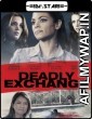 Deadly Exchange (2017) Hindi Dubbed Movie