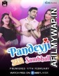 Pandeyji Zara Sambhalke (2021) Hindi Season 1 Complete Show