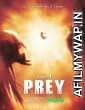 Prey (2022) Hindi Dubbed Movie