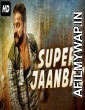 Super Jaanbaaz (2019) Hindi Dubbed Movie