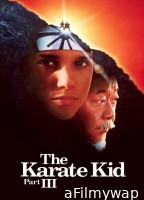 The Karate Kid Part III (1989) ORG Hindi Dubbed Movie