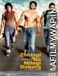 Zindagi Na Milegi Dobara (2011) Hindi Movie